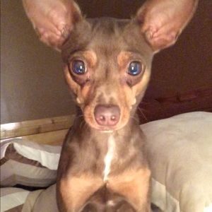 Meet your Posher, April